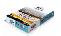 Paper Bangkok Economy Print